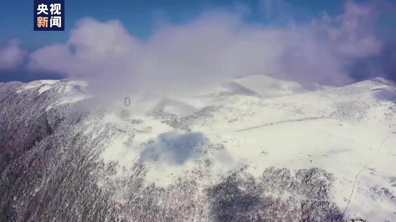 逃离废弃的建筑