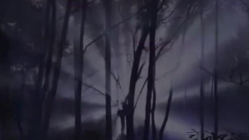 王傲世的梦