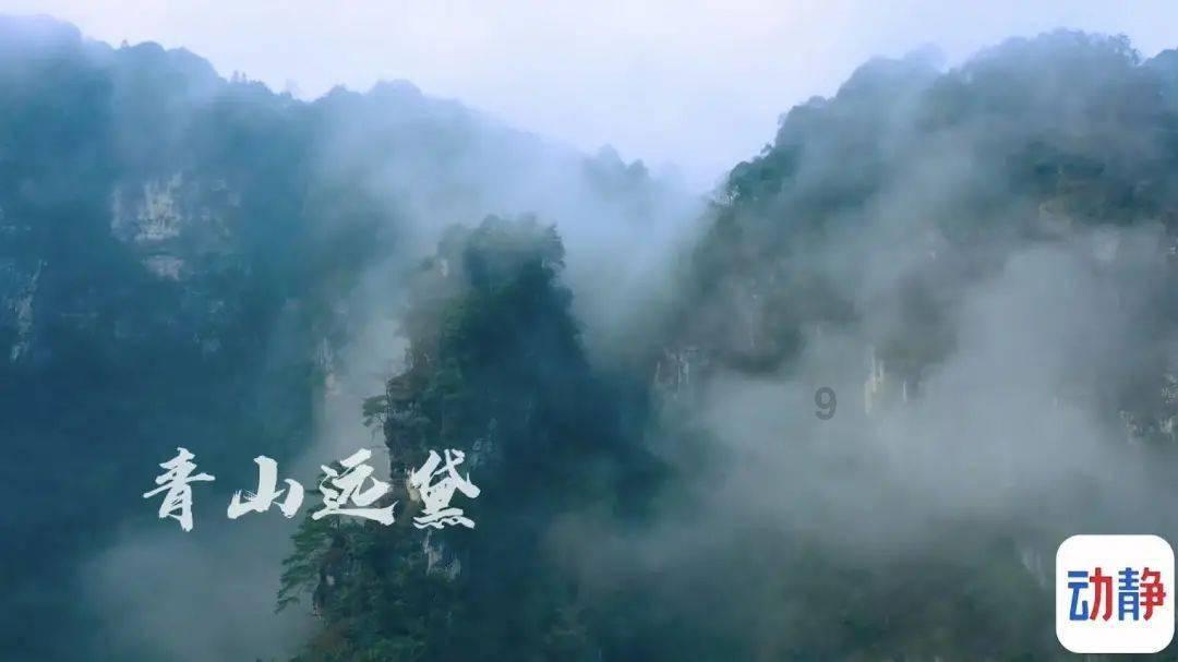 selina任家萱疑怀二胎?本人辟谣:不过是肠胃炎
