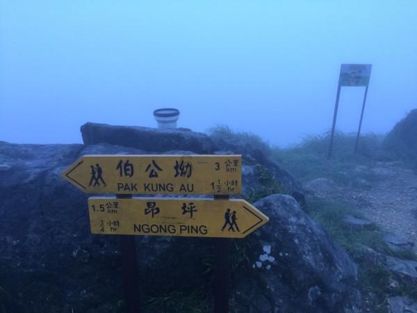炒花甲，有人焯水有人直接炒，正确的方法是什么？