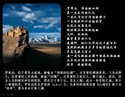 细胞分裂4