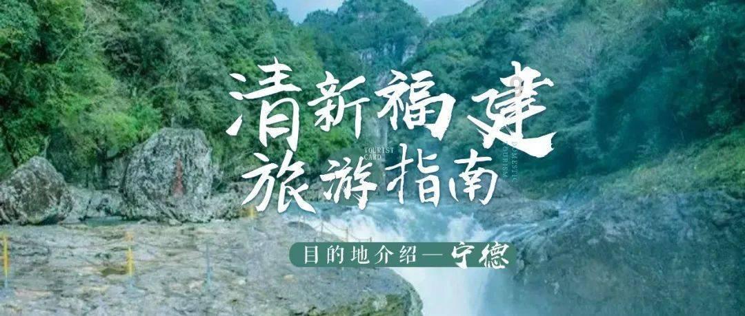 星动，只为你