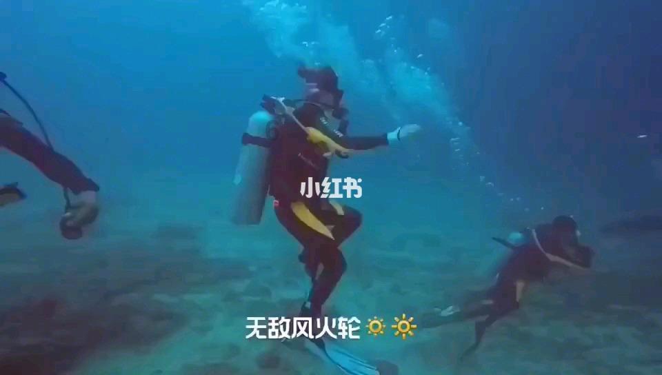 一起捕鱼吧