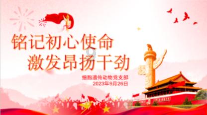 中国象棋速测吧