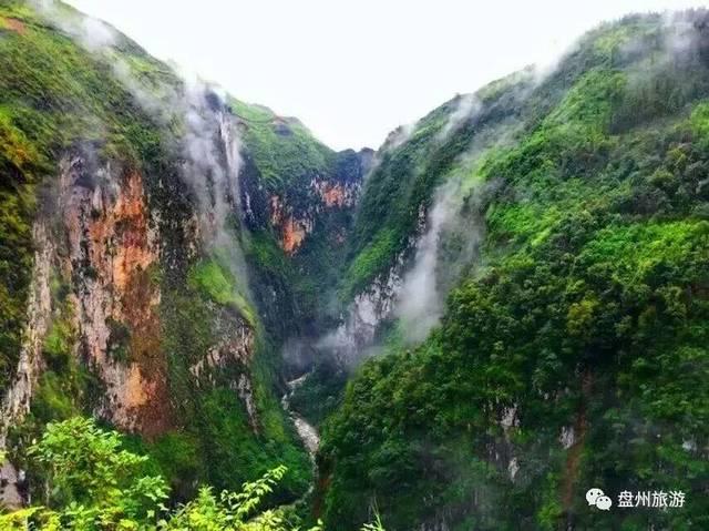 梦想之森
