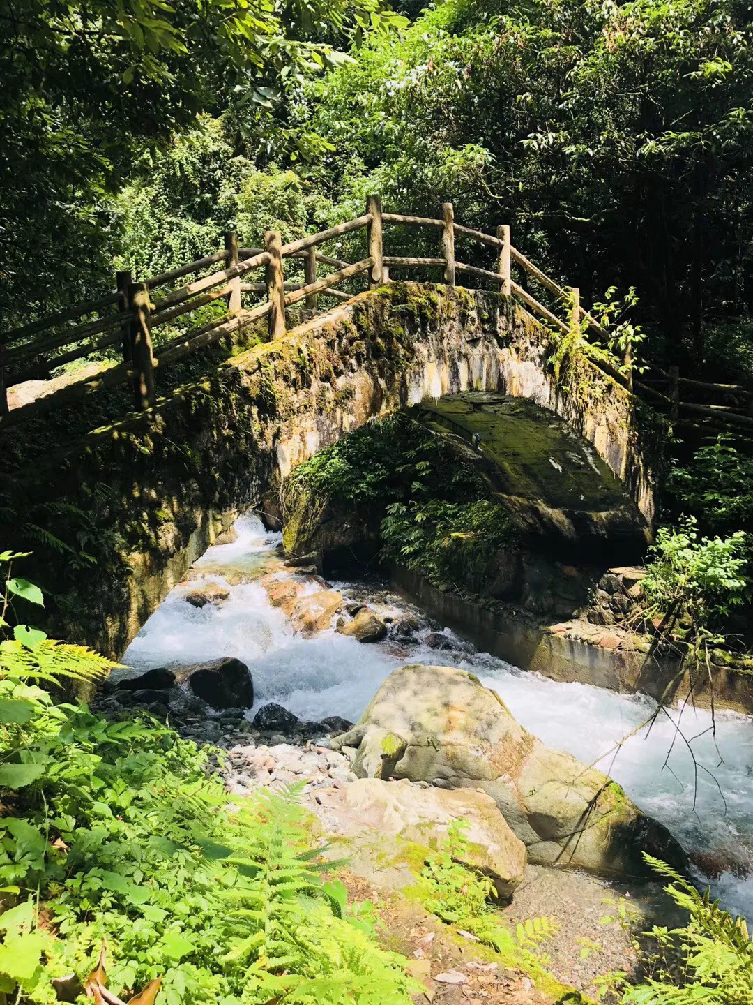 五彩猫碰碰碰
