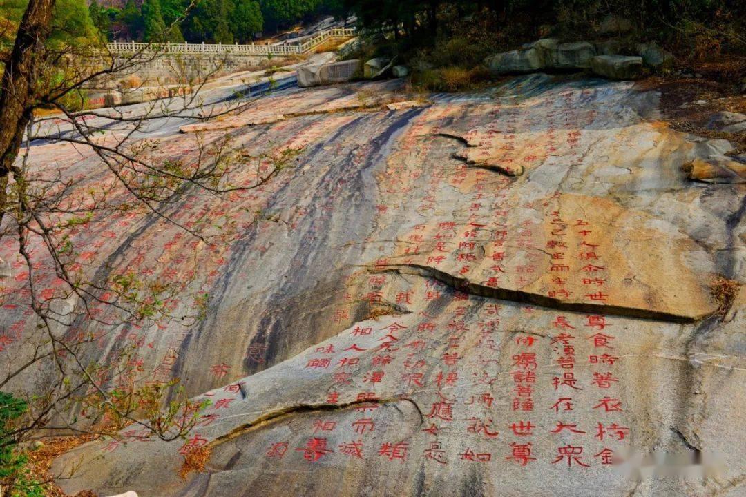 双子座的女生花心吗？？