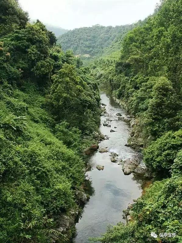 悬崖小屋逃生