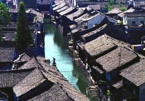 丧尸围城