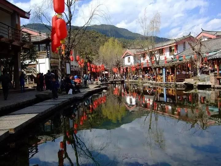 动物帮帮忙保卫家园