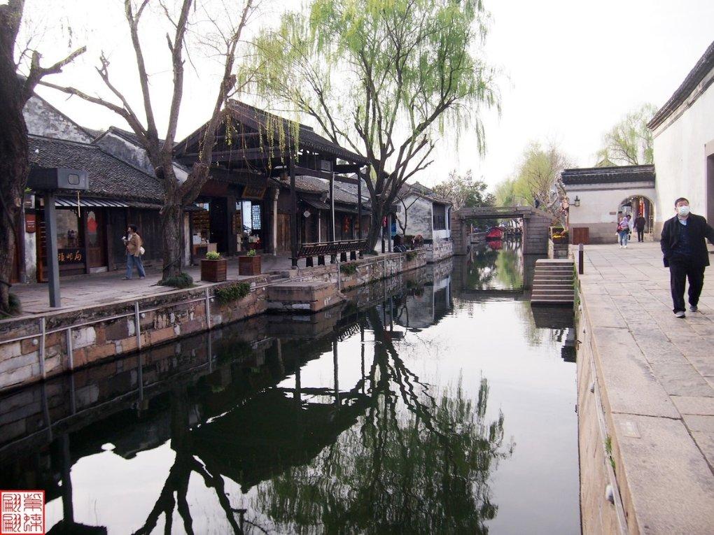 动物帮帮忙保卫家园