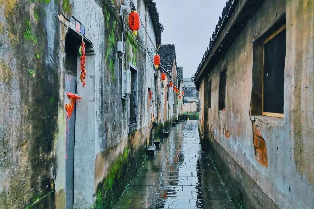 失忆的流浪者