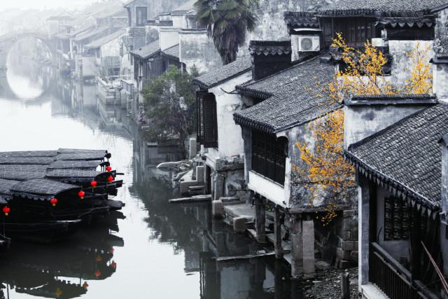 奥日与黑暗森林